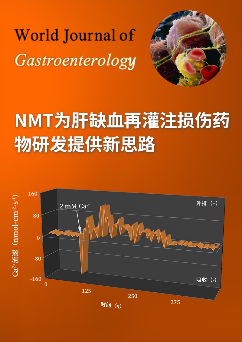 NMT为肝缺血再灌注损伤药物研发提供新思路