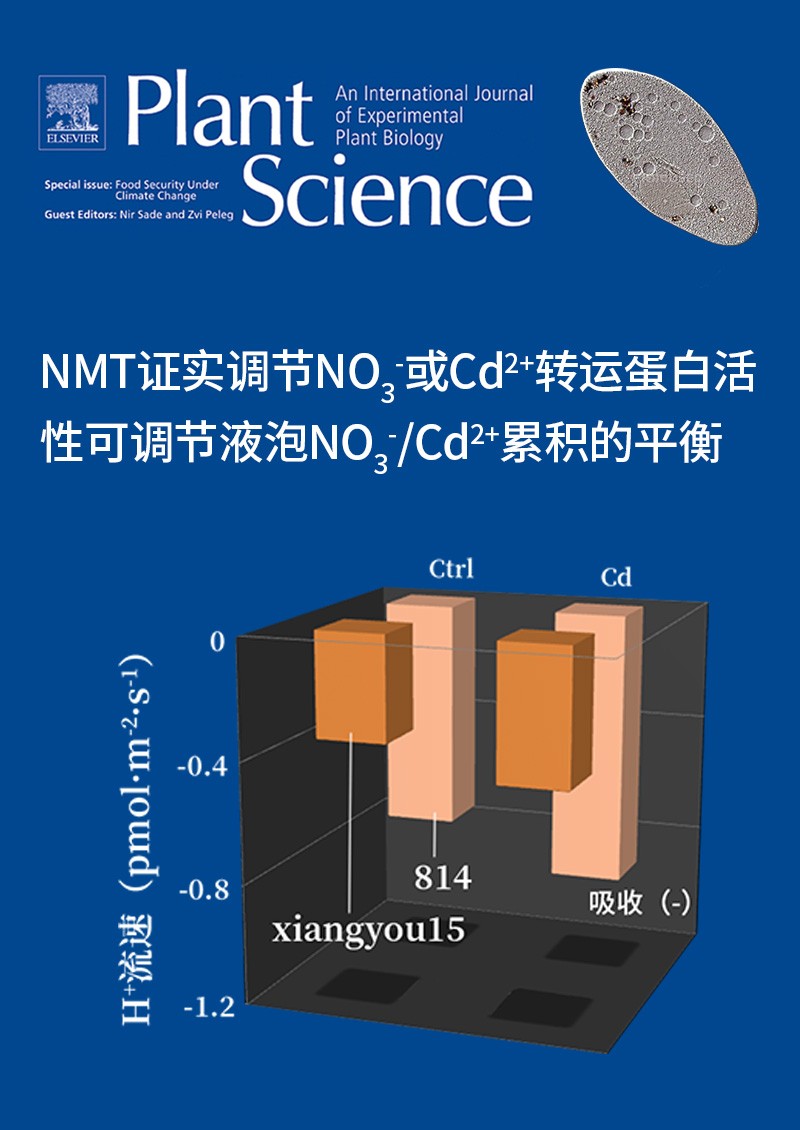 NMT证实调节NO3-或Cd2+转运蛋白活性可调节液泡NO3-/ Cd2+累积的平衡