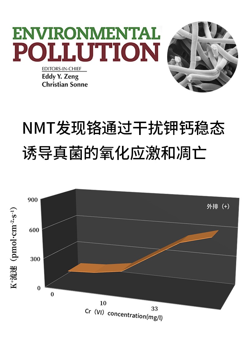 NMT发现铬通过干扰钾钙稳态诱导真菌的氧化应激和凋亡