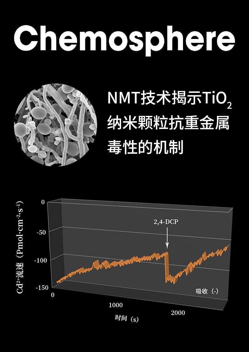 NMT技术揭示TiO2纳米颗粒抗重金属毒性的机制