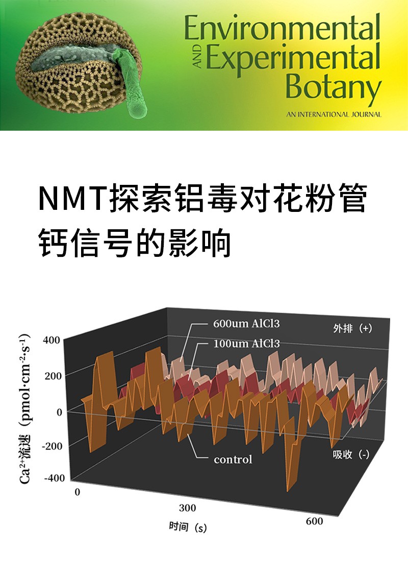 NMT探索铝毒对花粉管钙信号的影响