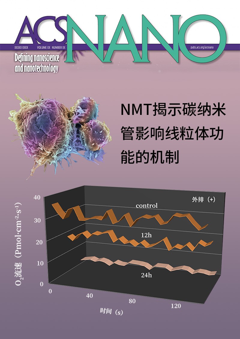 NMT揭示碳纳米管影响线粒体功能的机制