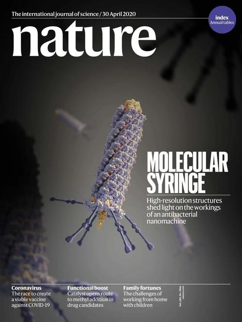 Nature：NMT为气孔免疫钙通道的发现提供重要证据