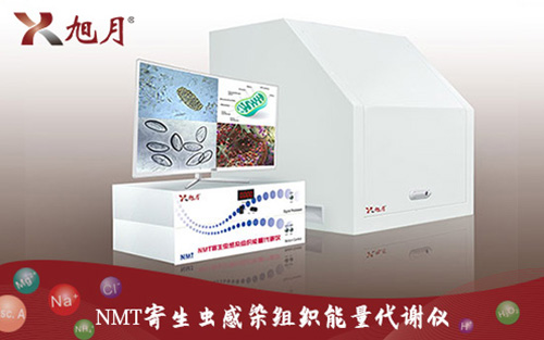 NMT寄生虫感染组织能量代谢仪