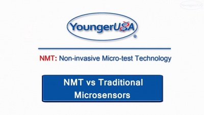 NMT vs.JPG
